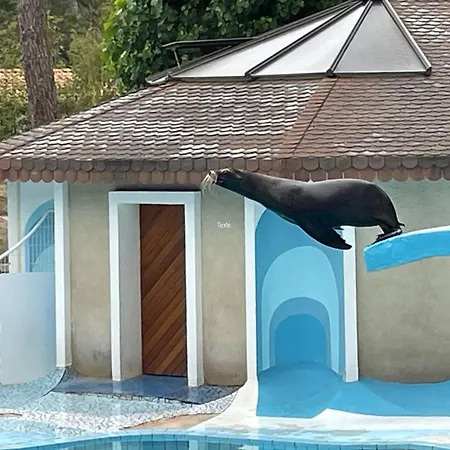 Magnificent Tribu Df14 With Heated Pool And Jacuzzi - Wifi Pensjonat Les Mathes